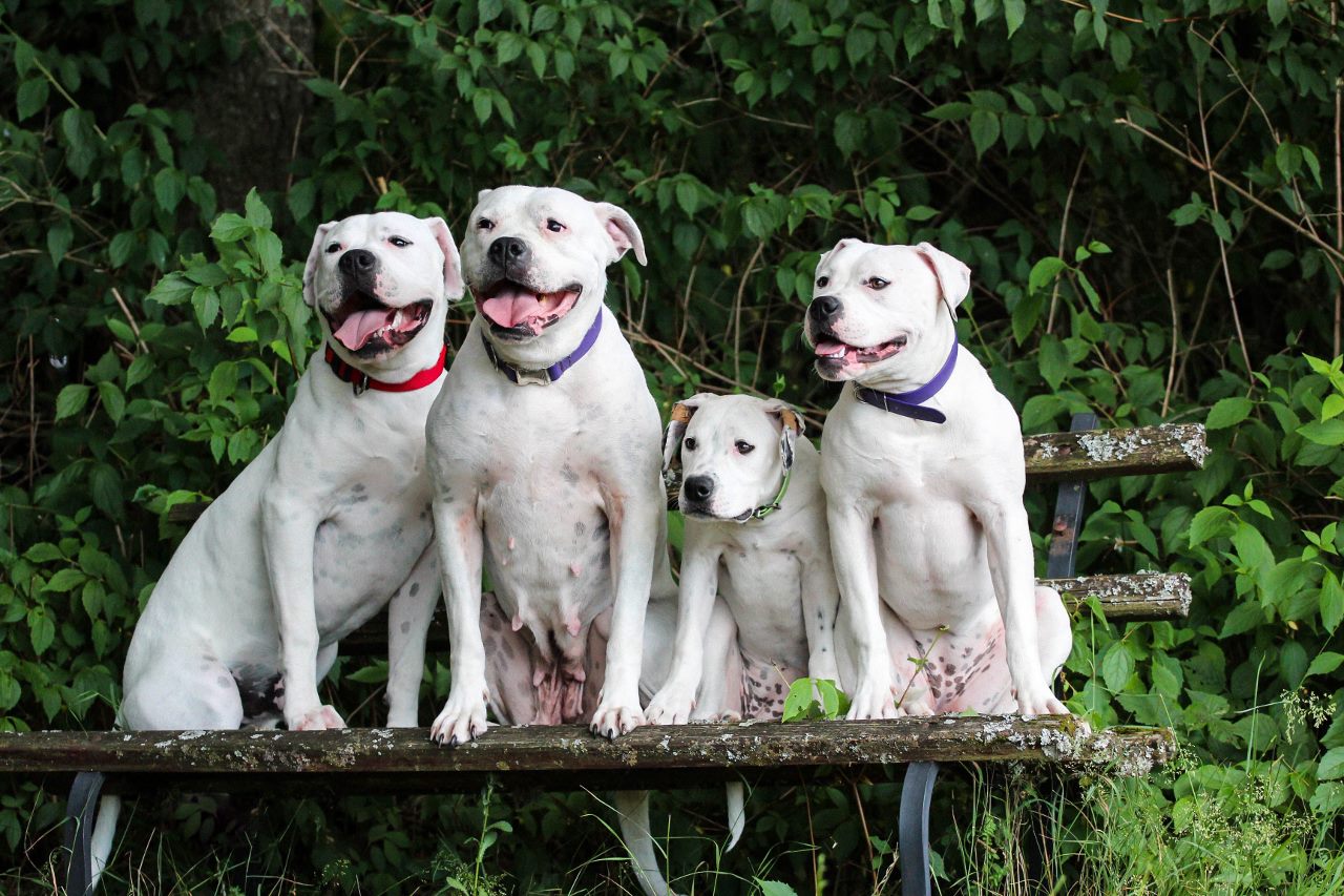 20140613-IMG_4803-1 (1280x853)