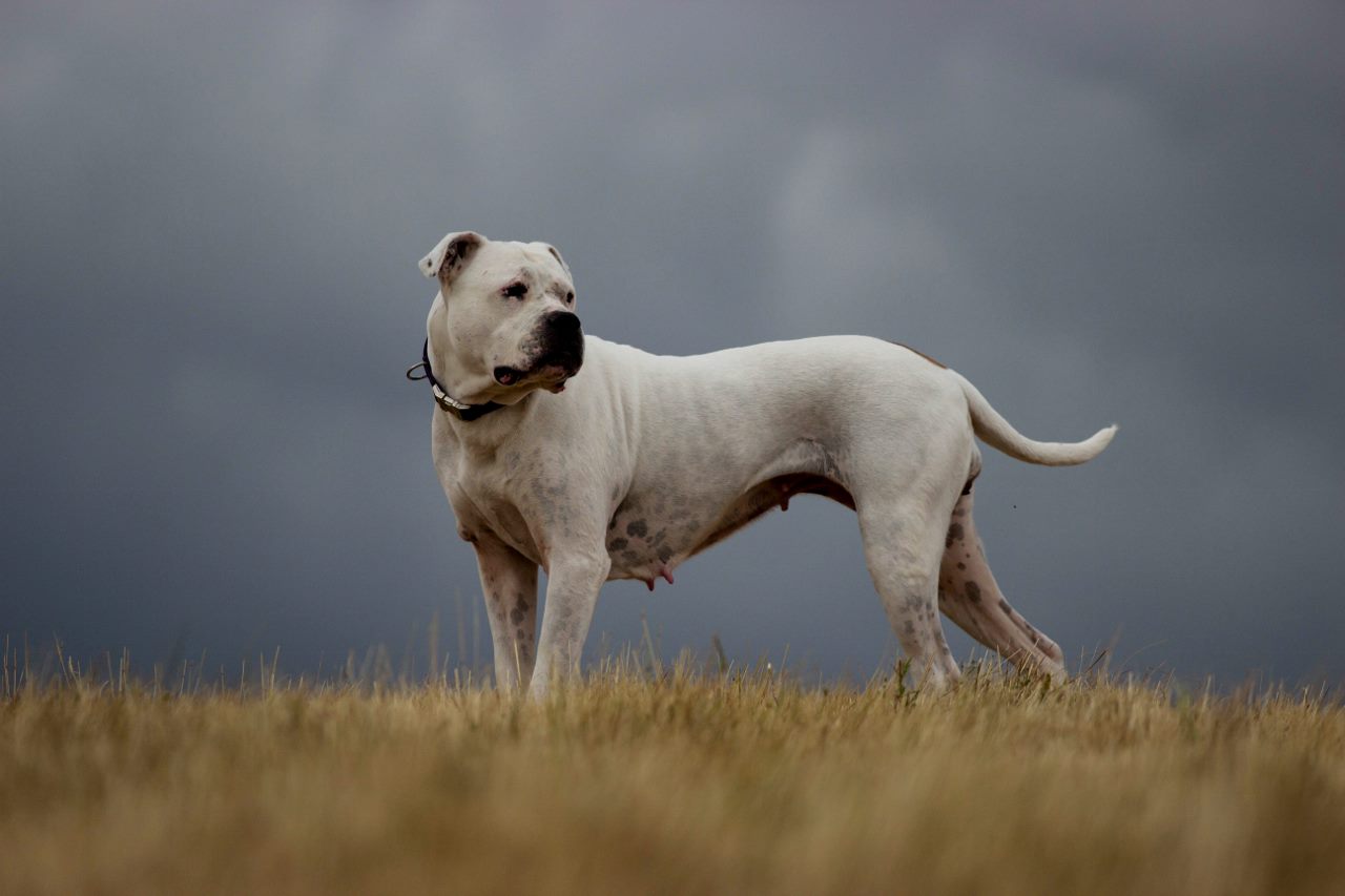 20140629-IMG_7136-1 (1280x853) (2)