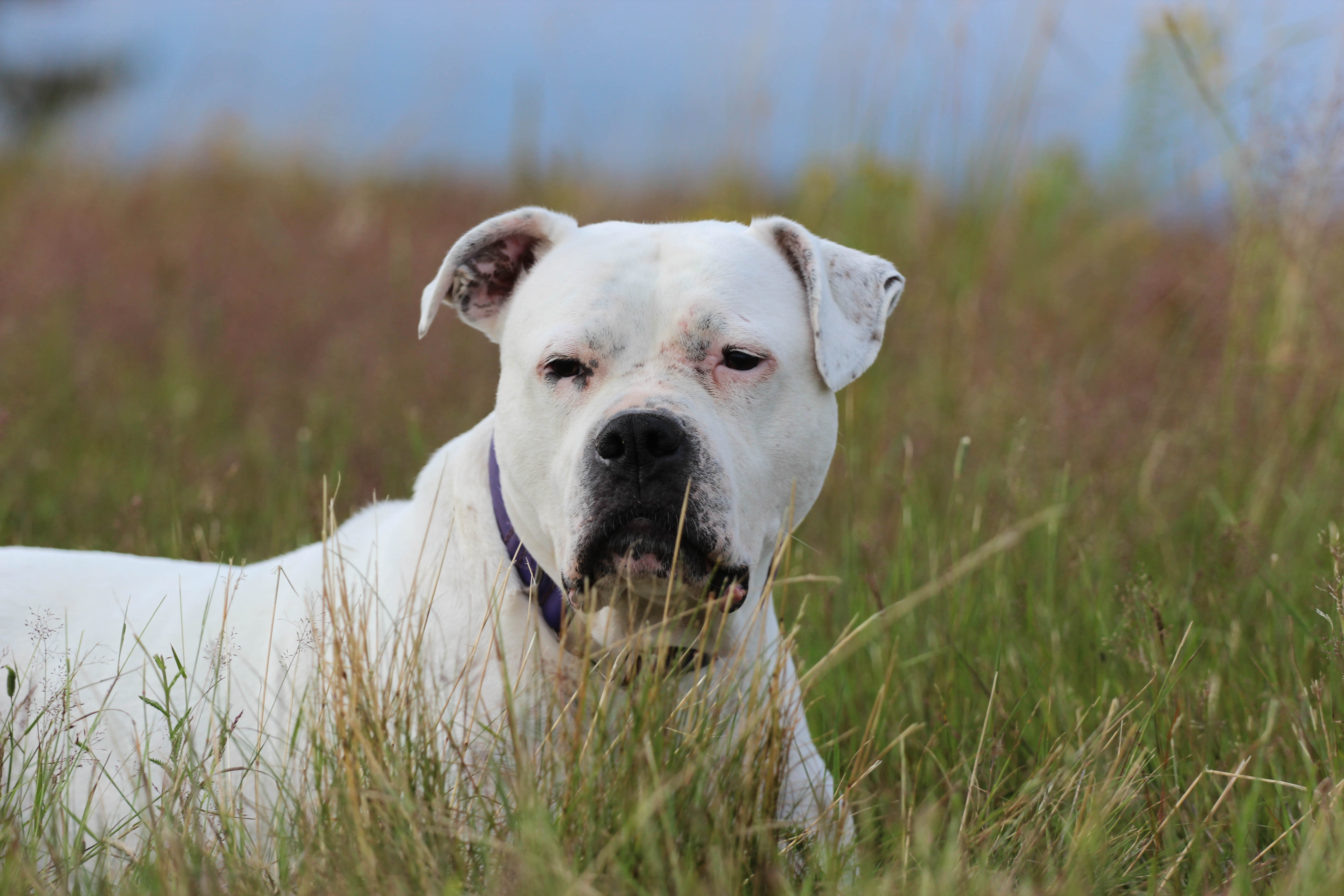 20140712-IMG_8444-11