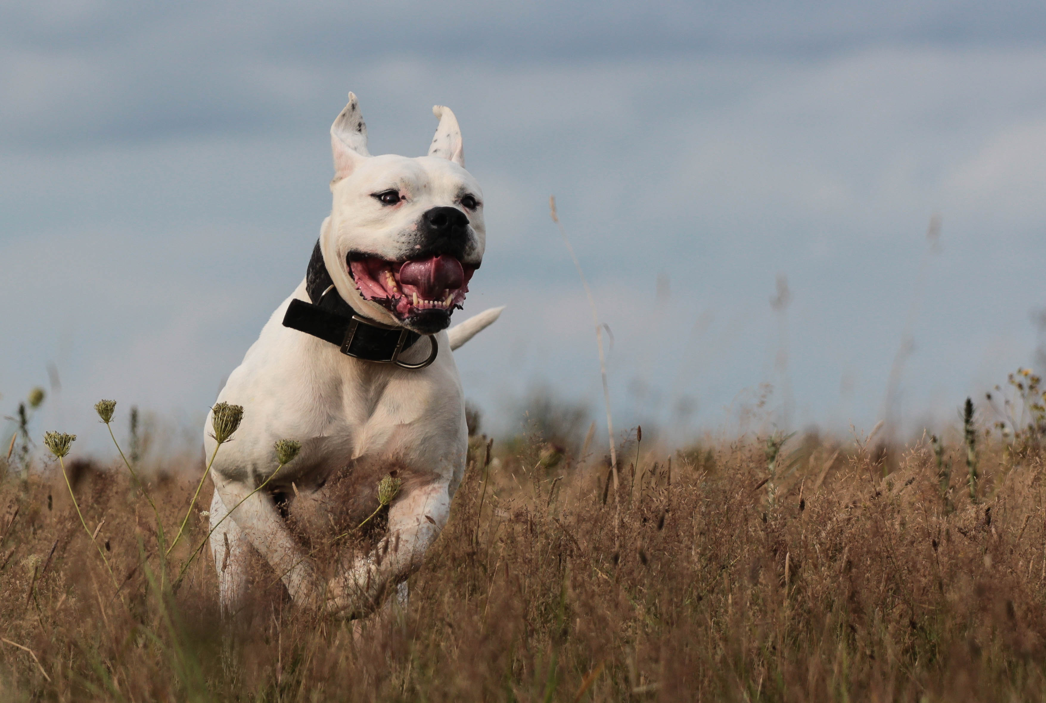 20140829-20140829-IMG_4723-2-2