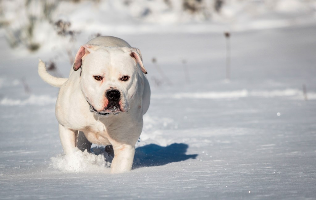 LR W-0451 (1024x651)