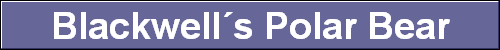 Blackwell�s Polar Bear
