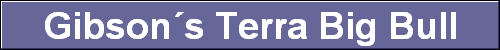 Gibson�s Terra Big Bull