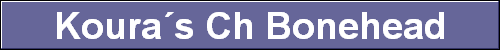 Koura�s Ch Bonehead