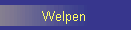 Welpen 