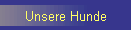 Unsere Hunde